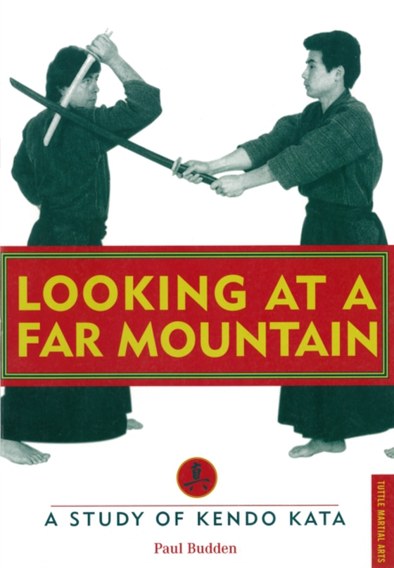 Looking at a Far Mountain - Revisited