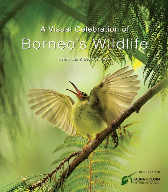 Visual Celebration of Borneo's Wildlife (e-bog) af Olesen, Bjorn