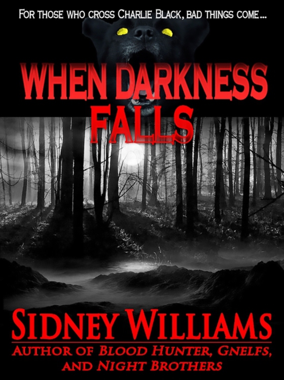 When Darkness Falls (e-bog) af Williams, Sidney