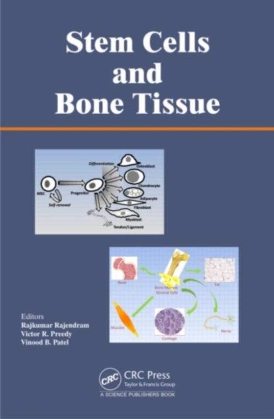 Stem Cells and Bone Tissue (e-bog) af -