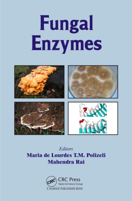 Fungal Enzymes (e-bog) af -