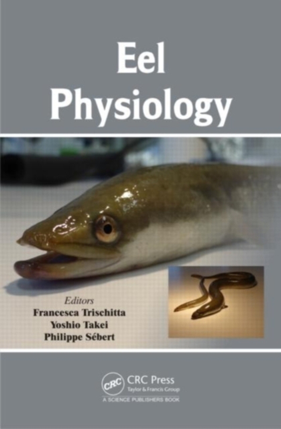 Eel Physiology (e-bog) af -