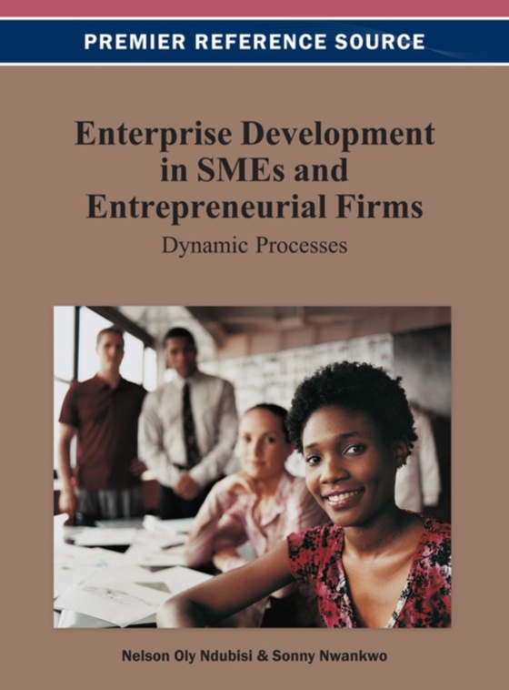 Enterprise Development in SMEs and Entrepreneurial Firms: Dynamic Processes (e-bog) af -