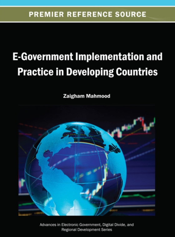 E-Government Implementation and Practice in Developing Countries (e-bog) af -