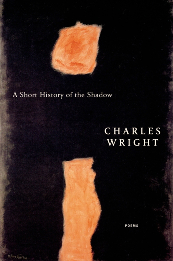 Short History of the Shadow (e-bog) af Wright, Charles