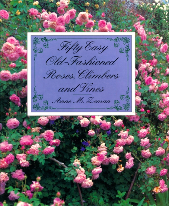 Fifty Easy Old-Fashioned Roses, Climbers and Vines (e-bog) af Zeman, Anne M.