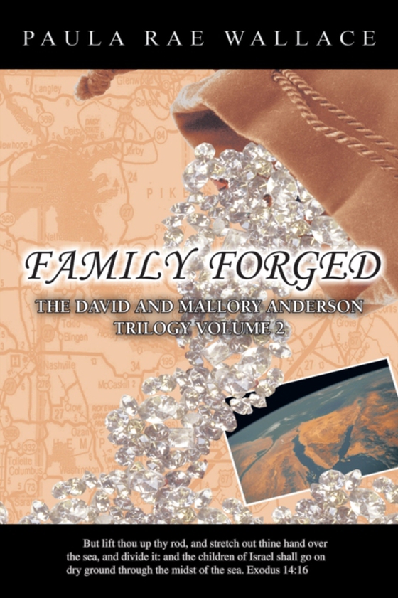 Family Forged (e-bog) af Wallace, Paula Rae