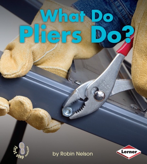 What Do Pliers Do? (e-bog) af Nelson, Robin