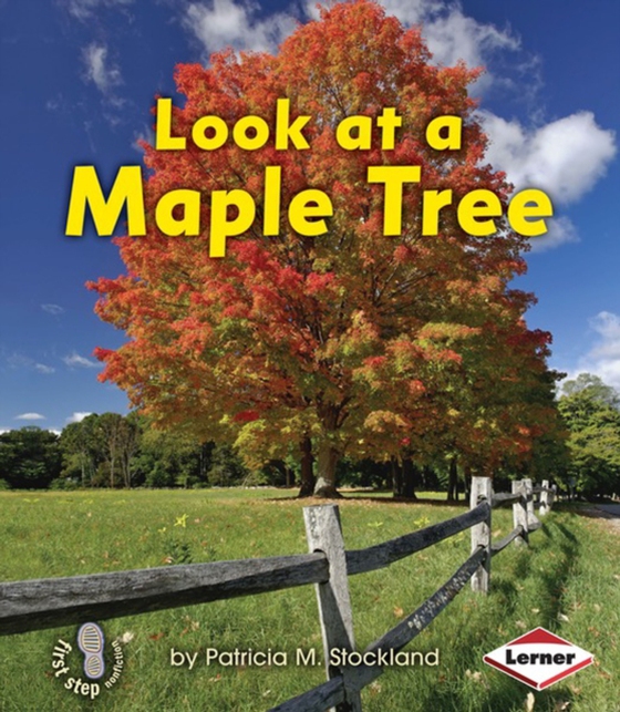 Look at a Maple Tree (e-bog) af Stockland, Patricia M.