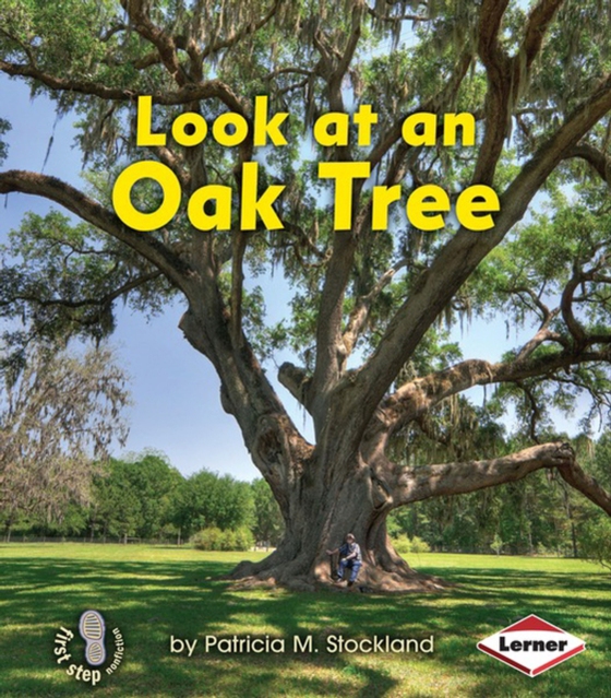 Look at an Oak Tree (e-bog) af Stockland, Patricia M.