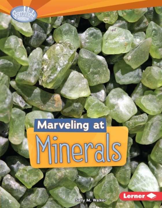 Marveling at Minerals (e-bog) af Walker, Sally M.