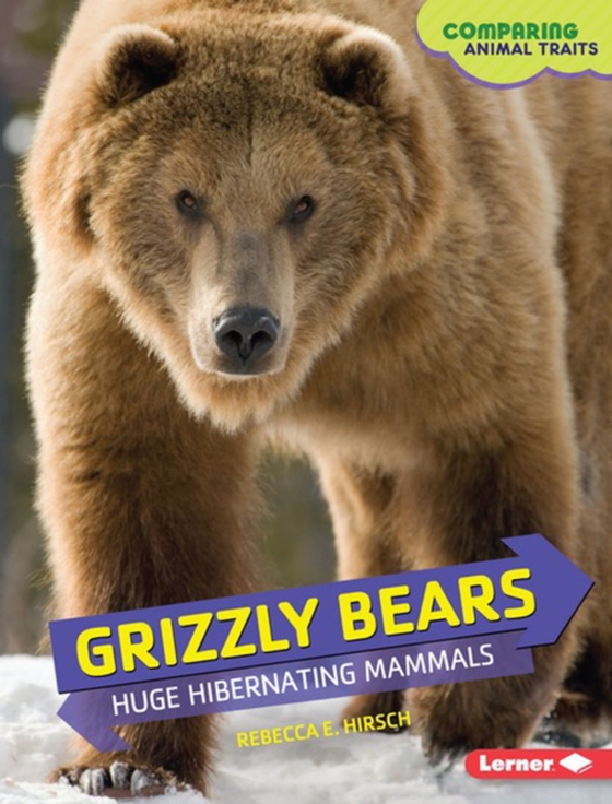 Grizzly Bears (e-bog) af Hirsch, Rebecca E.