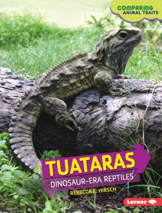 Tuataras (e-bog) af Hirsch, Rebecca E.