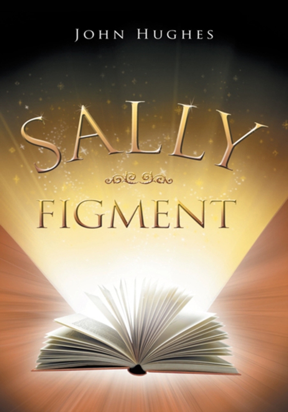 Sally Figment (e-bog) af Hughes, John