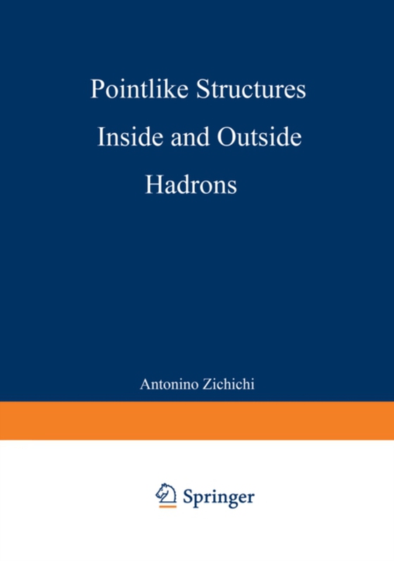 Pointlike Structures Inside and Outside Hadrons (e-bog) af -