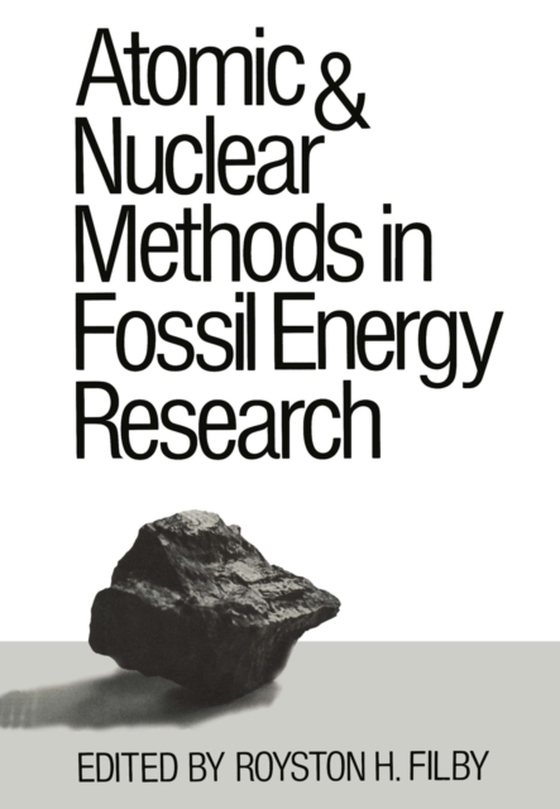 Atomic and Nuclear Methods in Fossil Energy Research