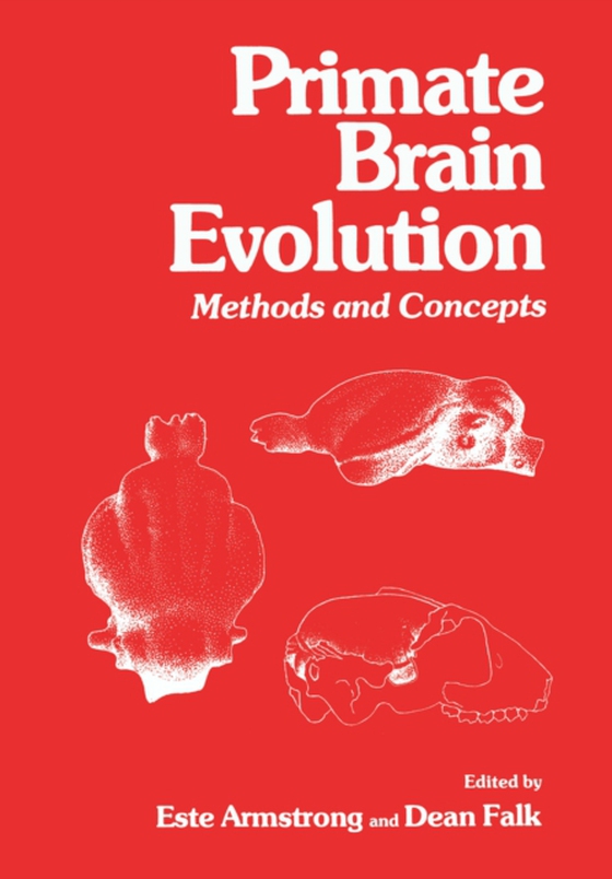 Primate Brain Evolution (e-bog) af Falk, Dean