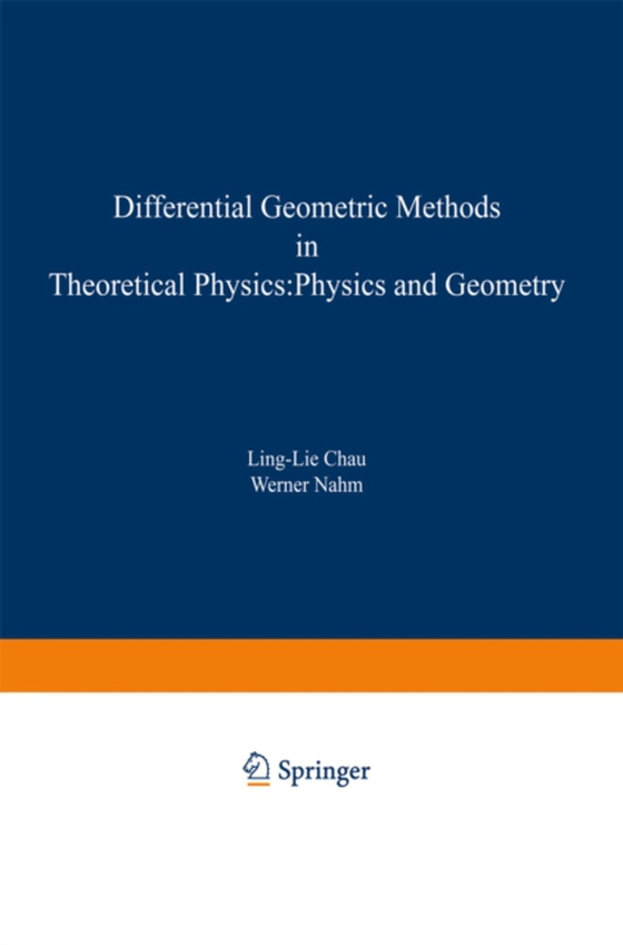 Differential Geometric Methods in Theoretical Physics (e-bog) af -