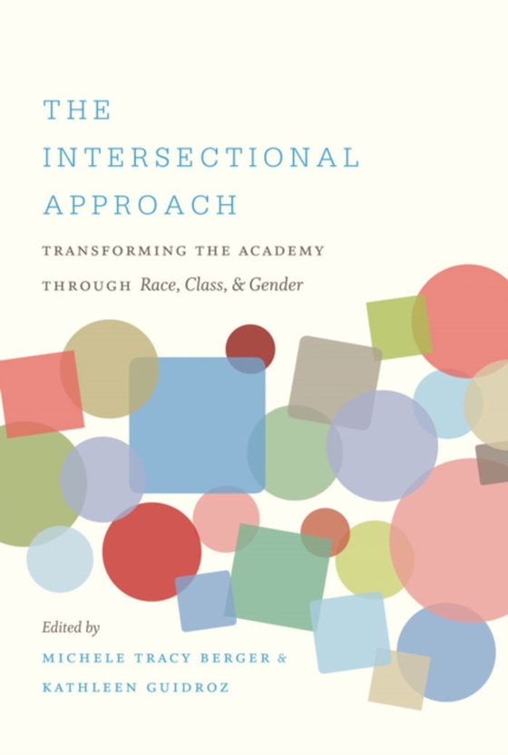 Intersectional Approach (e-bog) af -