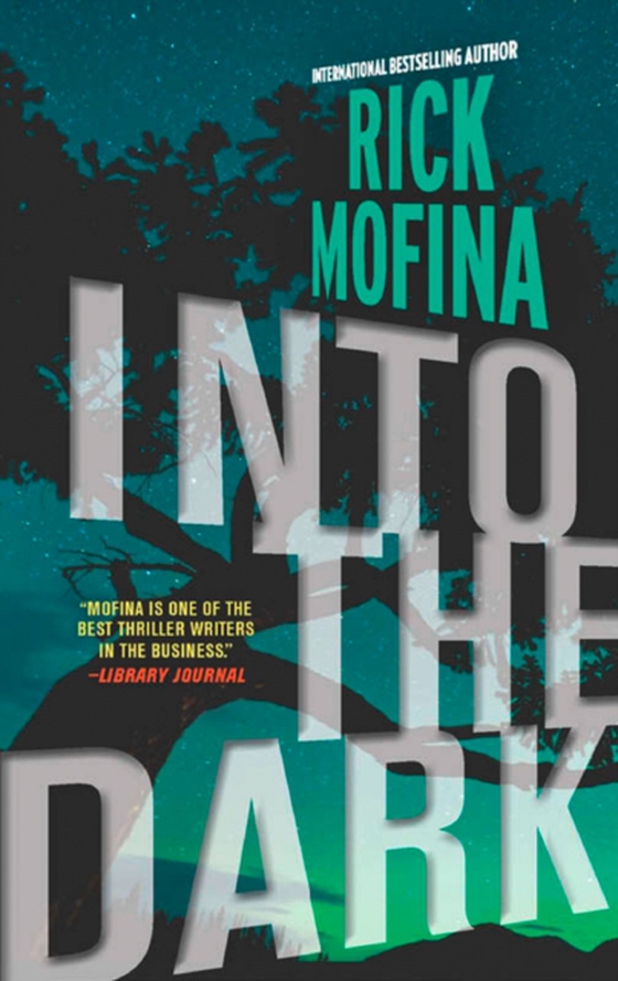 Into the Dark (e-bog) af Mofina, Rick