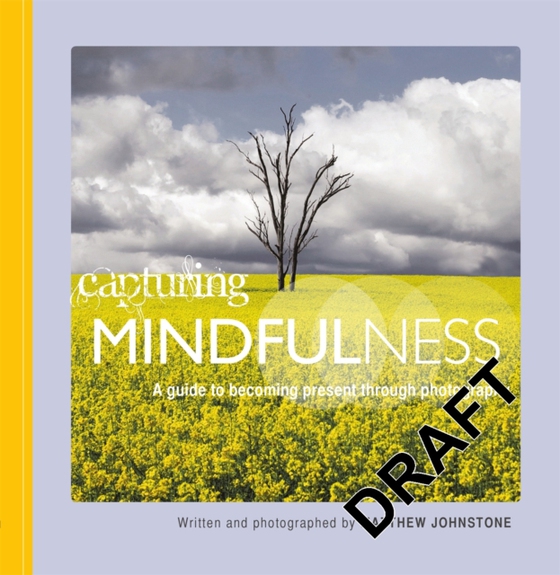 Capturing Mindfulness