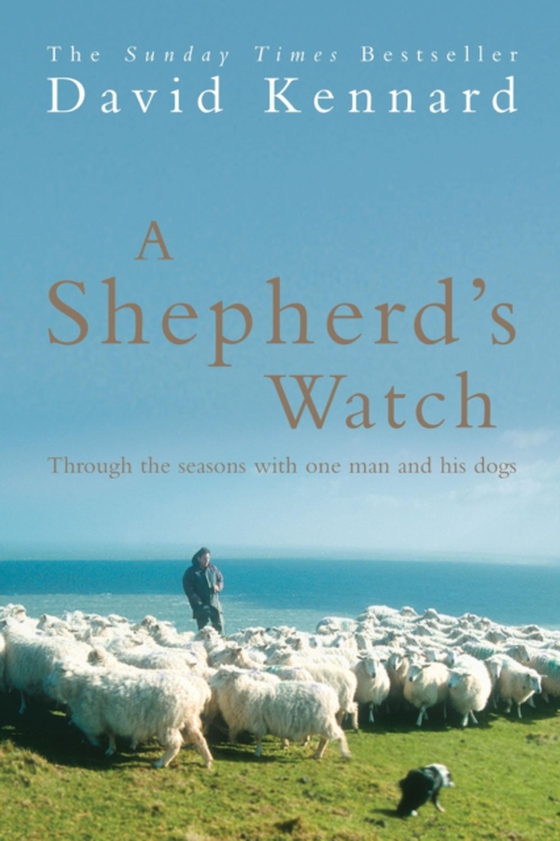 Shepherd's Watch (e-bog) af Kennard, David