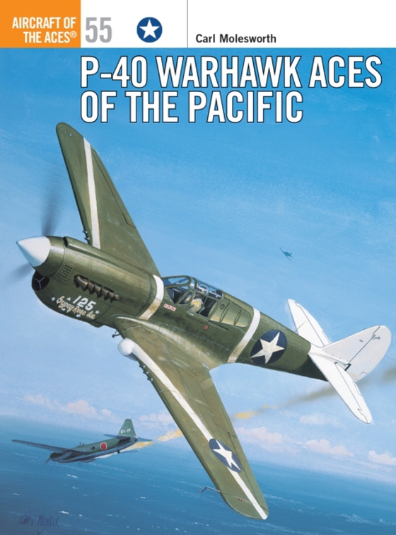 P-40 Warhawk Aces of the Pacific (e-bog) af Carl Molesworth, Molesworth