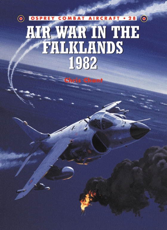 Air War in the Falklands 1982