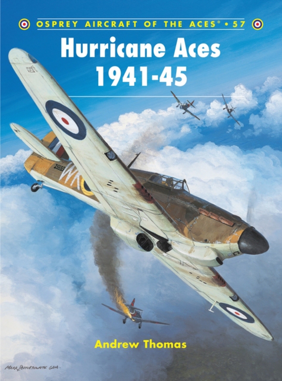 Hurricane Aces 1941 45