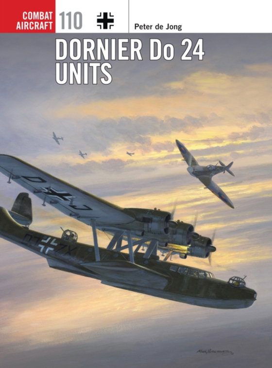 Dornier Do 24 Units