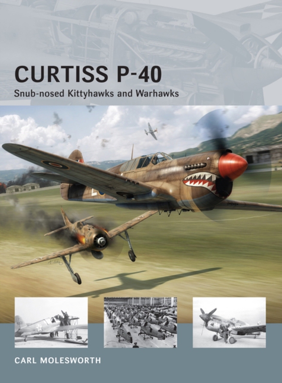 Curtiss P-40 (e-bog) af Carl Molesworth, Molesworth