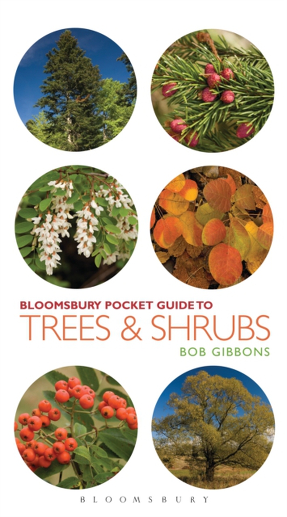 Pocket Guide to Trees and Shrubs (e-bog) af Bob Gibbons, Gibbons