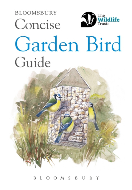 Concise Garden Bird Guide (e-bog) af Bloomsbury, Bloomsbury