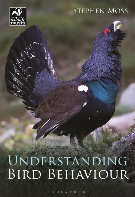 Understanding Bird Behaviour (e-bog) af Stephen Moss, Moss