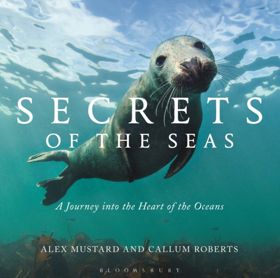 Secrets of the Seas (e-bog) af Callum Roberts, Roberts