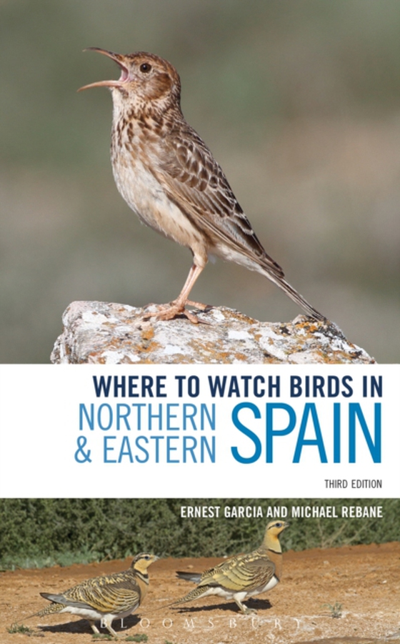 Where to Watch Birds in Northern and Eastern Spain (e-bog) af Michael Rebane, Rebane