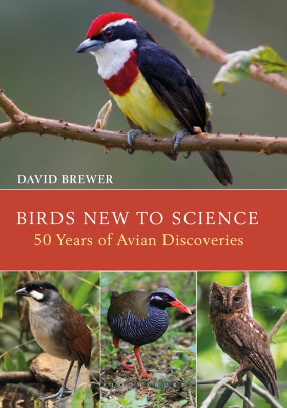 Birds New to Science (e-bog) af David Brewer, Brewer