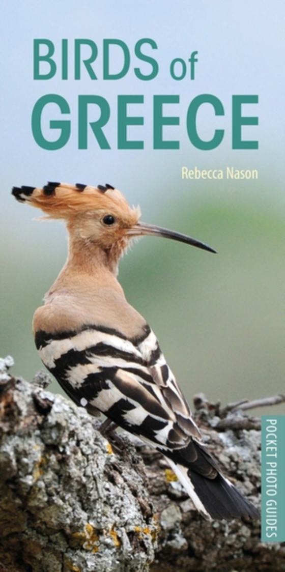 Birds of Greece (e-bog) af Rebecca Nason, Nason