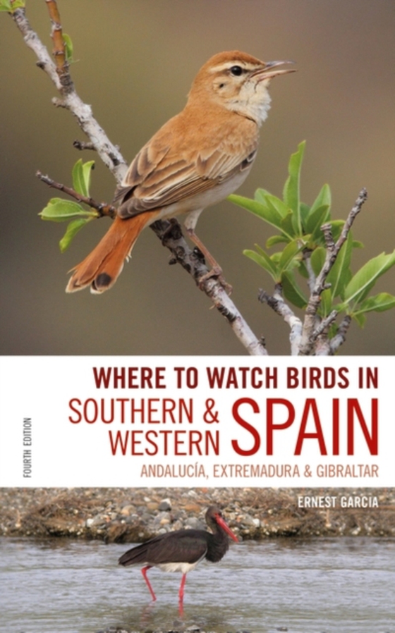 Where to Watch Birds in Southern and Western Spain (e-bog) af Andrew Paterson, Paterson