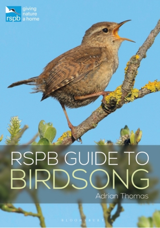 RSPB Guide to Birdsong (e-bog) af Adrian Thomas, Thomas