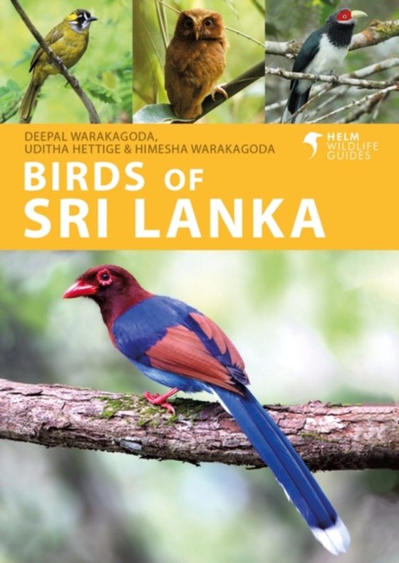 Birds of Sri Lanka (e-bog) af Himesha Warakagoda, Warakagoda