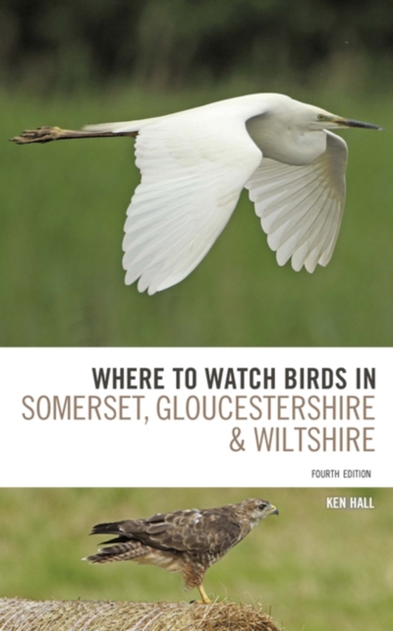 Where To Watch Birds in Somerset, Gloucestershire and Wiltshire (e-bog) af Ken Hall, Hall