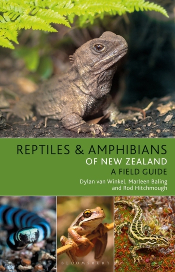 Reptiles and Amphibians of New Zealand (e-bog) af Rod Hitchmough, Hitchmough