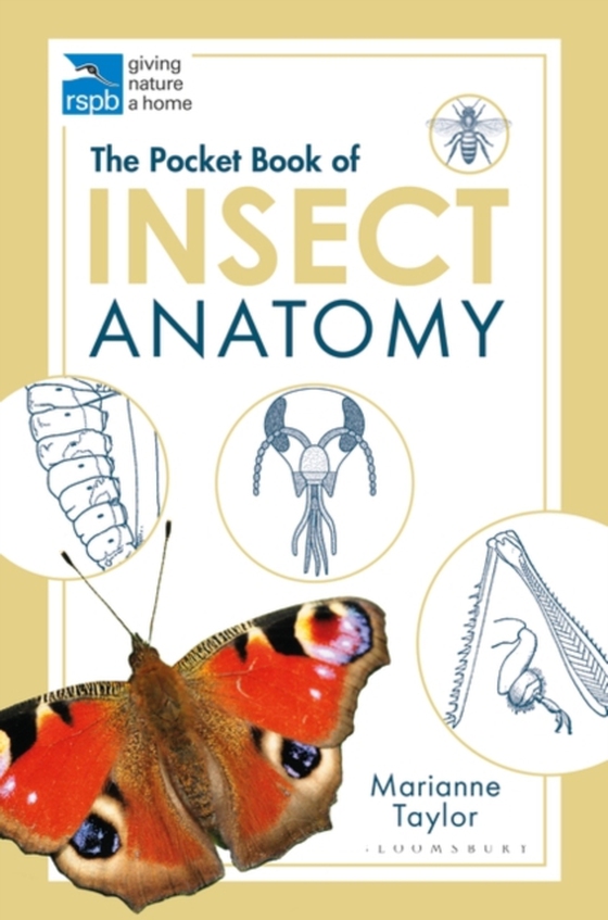 Pocket Book of Insect Anatomy (e-bog) af Marianne Taylor, Taylor