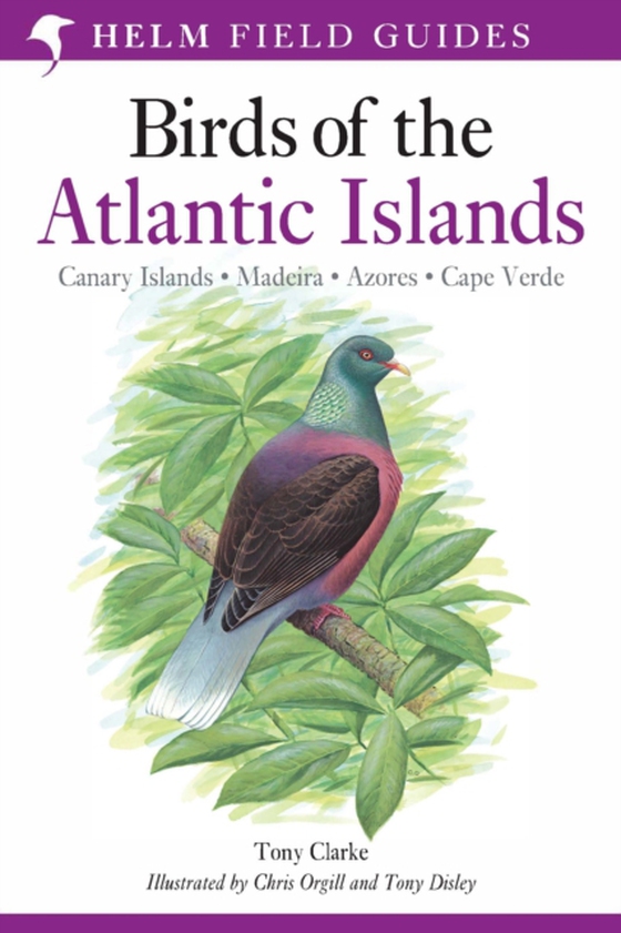 Field Guide to the Birds of the Atlantic Islands (e-bog) af Tony Clarke, Clarke