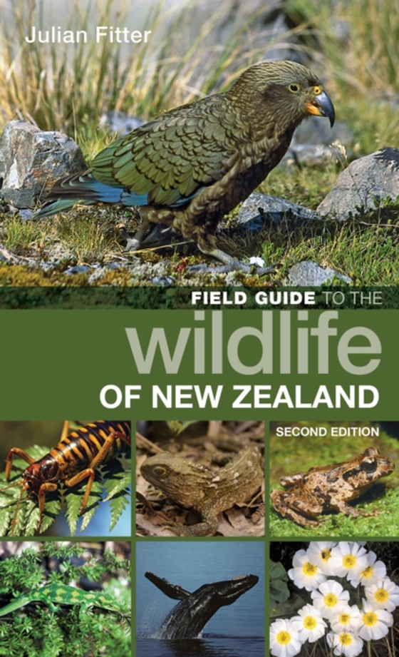 Field Guide to the Wildlife of New Zealand (e-bog) af Julian Fitter, Fitter