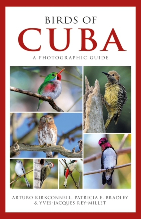 Photographic Guide to the Birds of Cuba (e-bog) af Yves-Jacques Rey-Millet, Rey-Millet