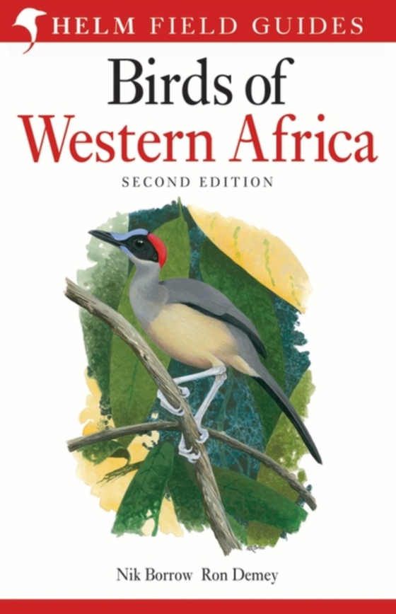 Field Guide to Birds of Western Africa (e-bog) af Nik Borrow, Borrow