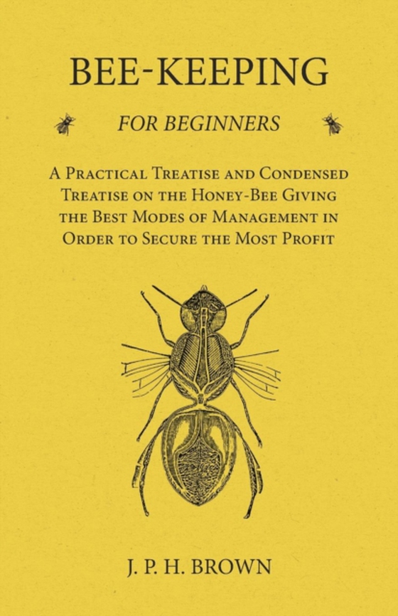 Bee-Keeping for Beginners - A Practical Treatise and Condensed Treatise on the Honey-Bee Giving the Best Modes of Management in Order to Secure the Most Profit