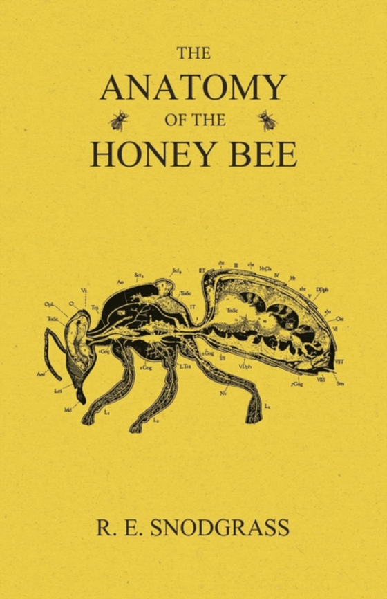 Anatomy of the Honey Bee (e-bog) af Snodgrass, R. E.